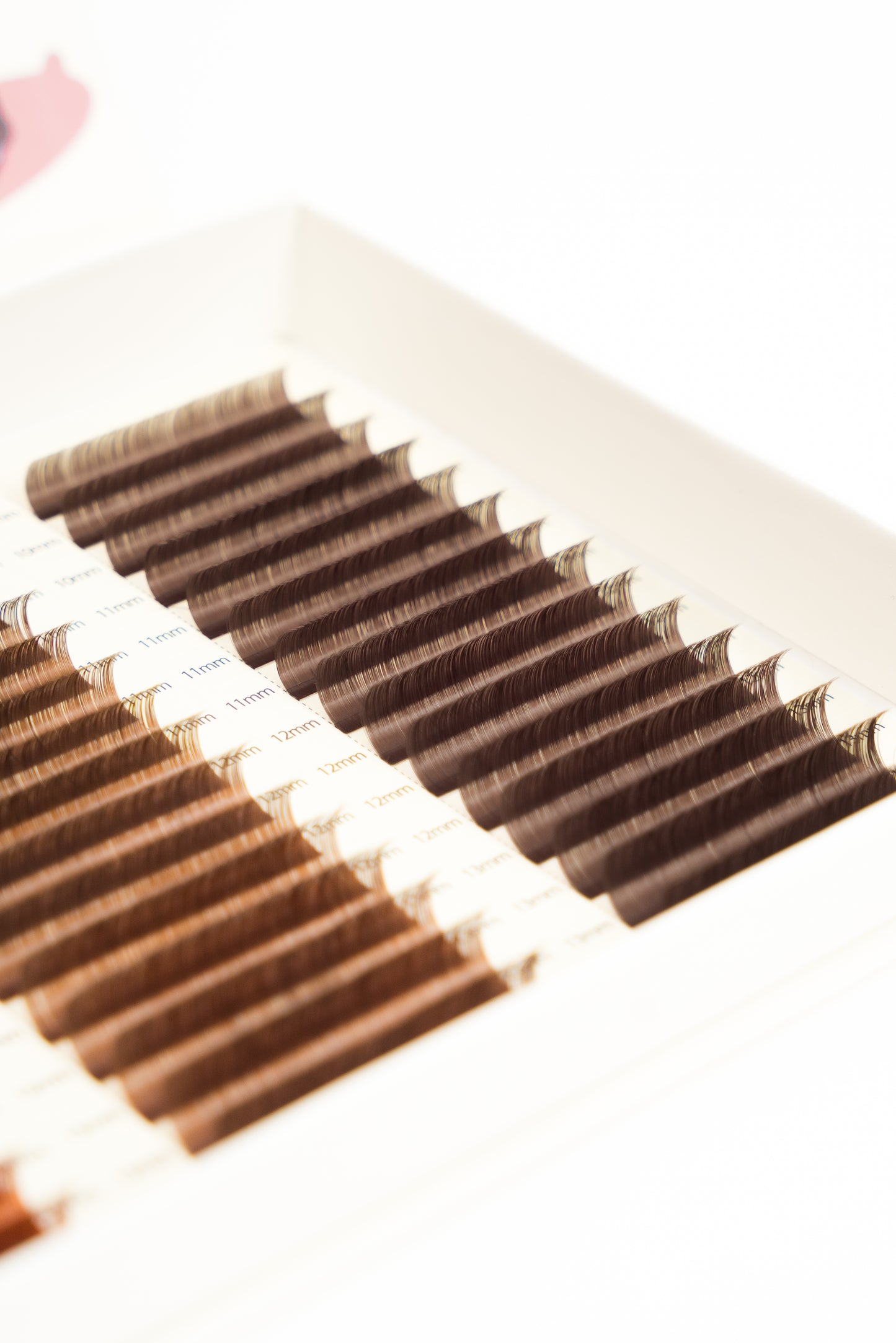 “It’s Boba Brown” Lash Tray Collection
