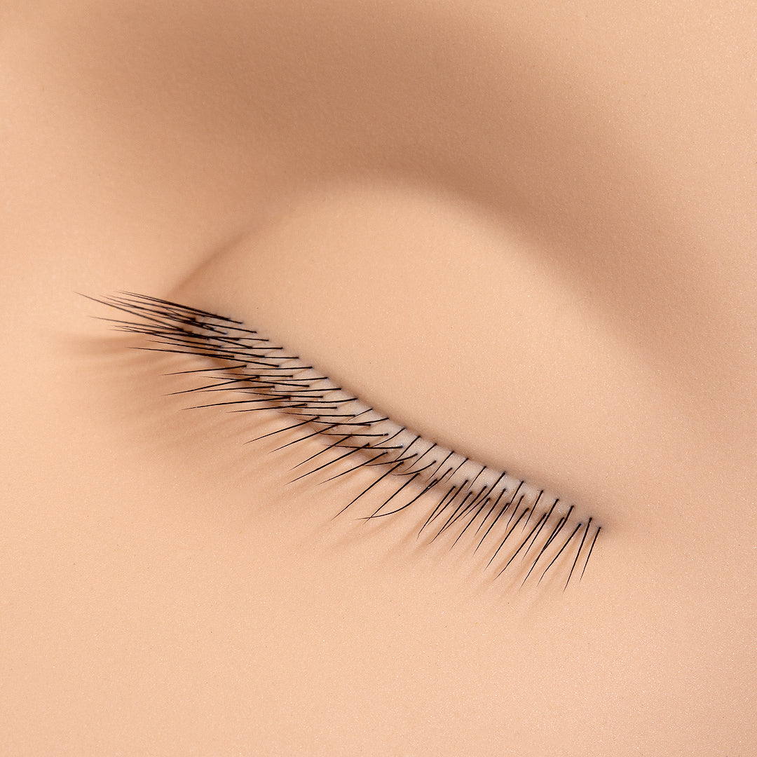 3-Layer Lash Mannequin Head