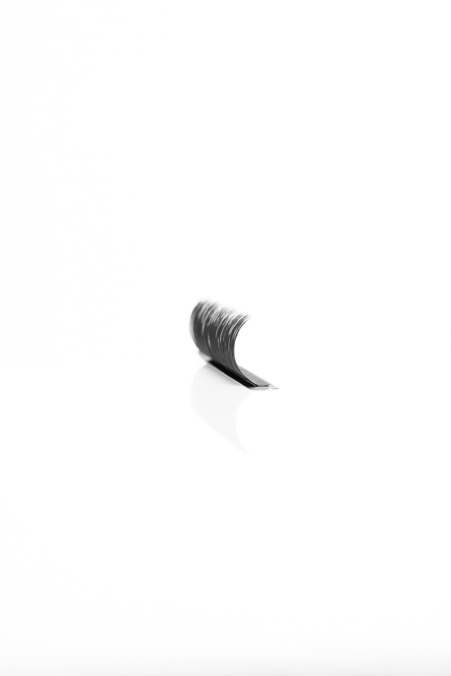 LD Curl Lashes