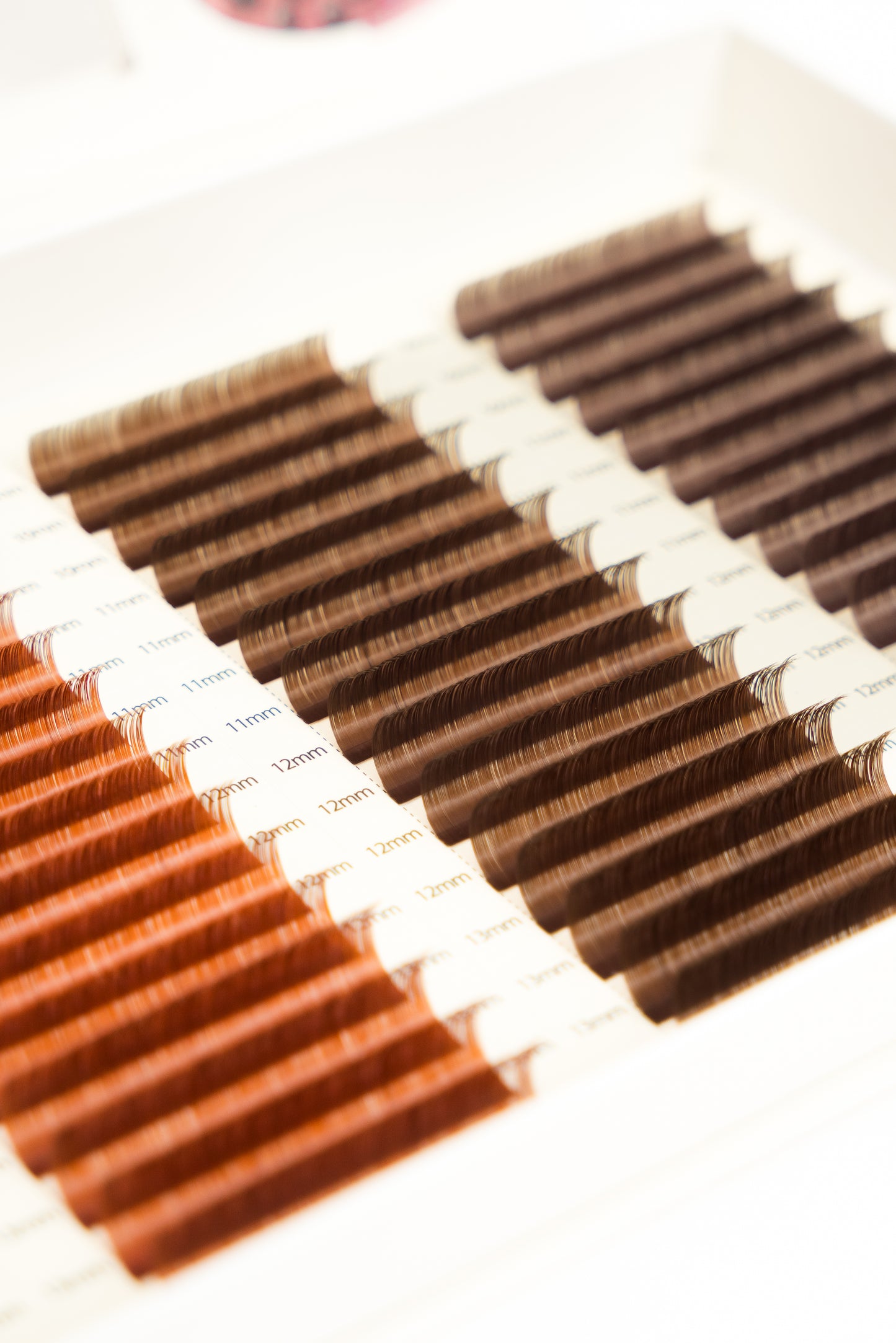 “It’s Boba Brown” Lash Tray Collection