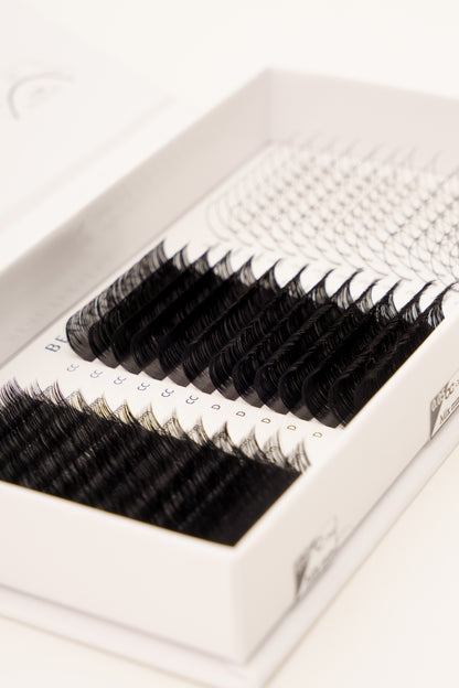 Signature Strip Lash Look - Lash Tray Box