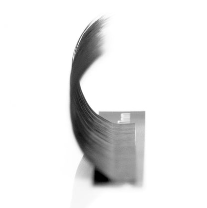 LD Curl Lashes