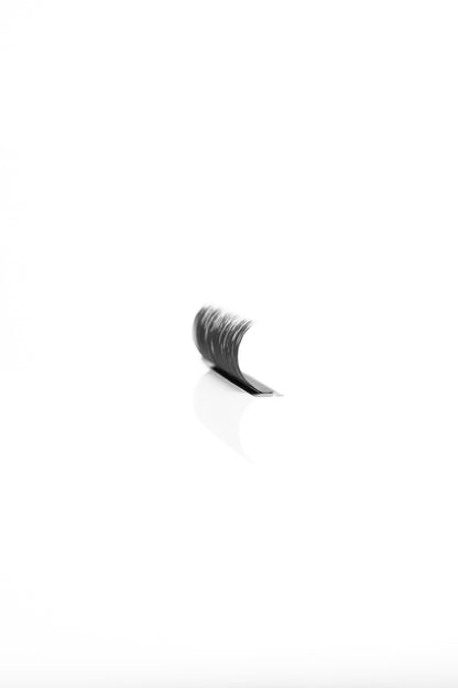 LD Curl Lashes