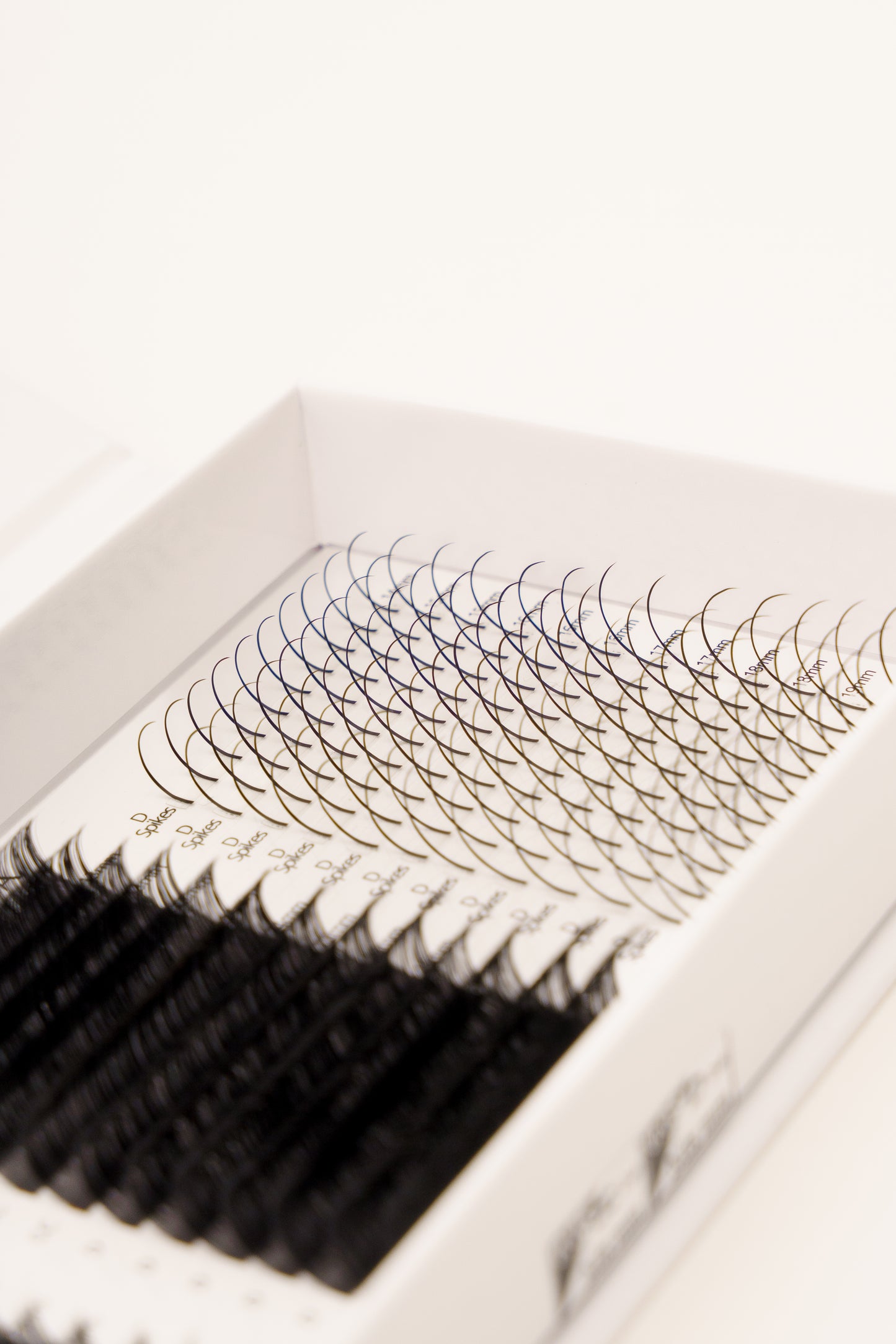 Signature Strip Lash Look - Lash Tray Box