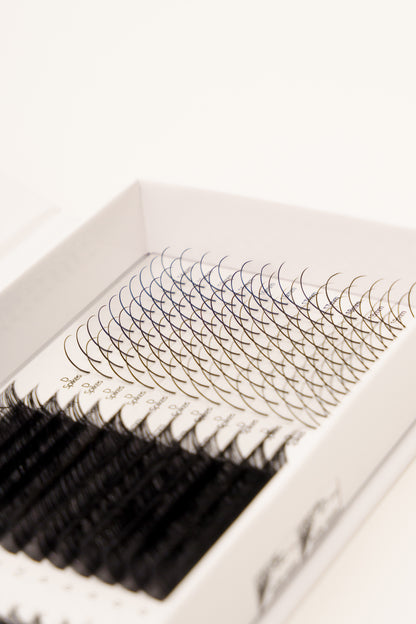 Signature Strip Lash Look - Lash Tray Box