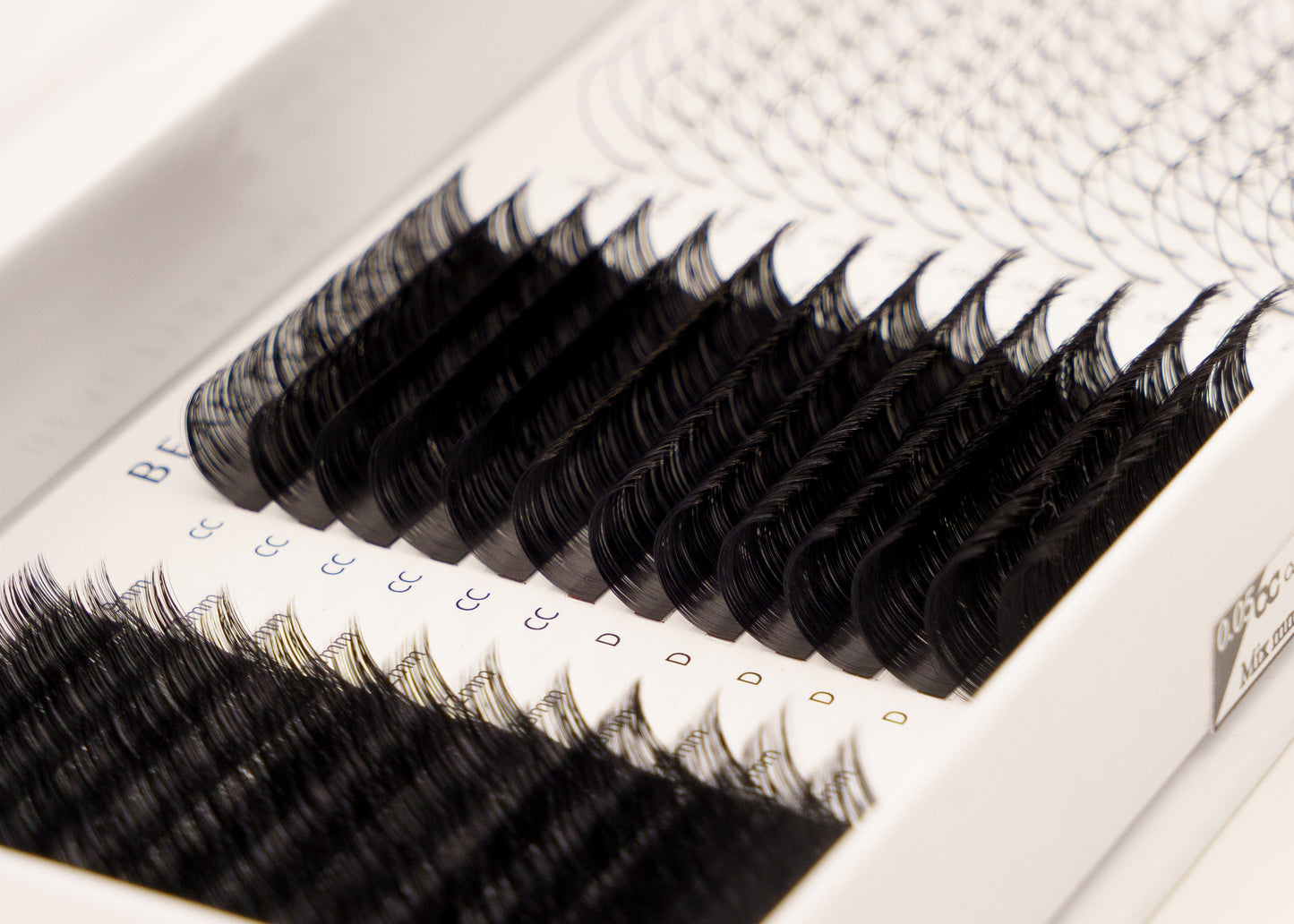 Set of false eyelashes in a white tray on a white background